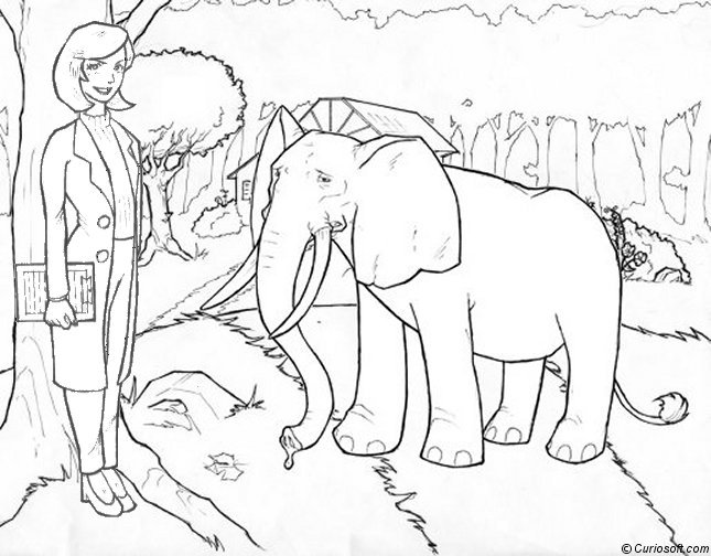 Раскраска: слон (Животные) #6455 - Бесплатные раскраски для печати