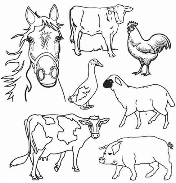 Раскраска: Сельскохозяйственные животные (Животные) #21381 - Бесплатные раскраски для печати