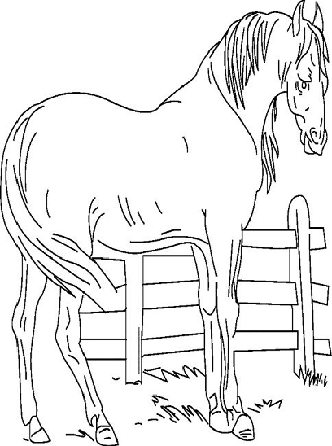 Раскраска: Сельскохозяйственные животные (Животные) #21399 - Бесплатные раскраски для печати