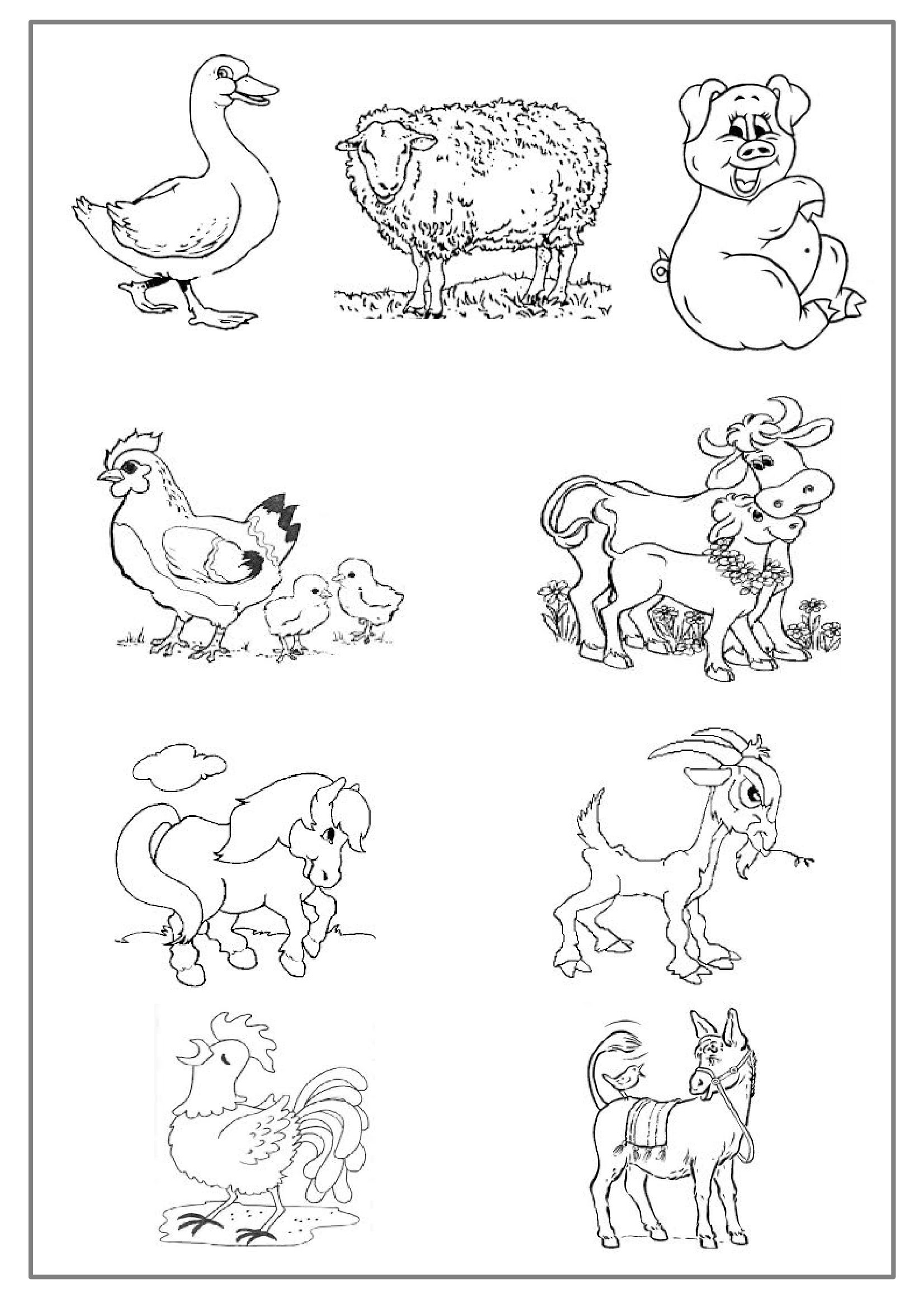 Раскраска: Сельскохозяйственные животные (Животные) #21424 - Бесплатные раскраски для печати