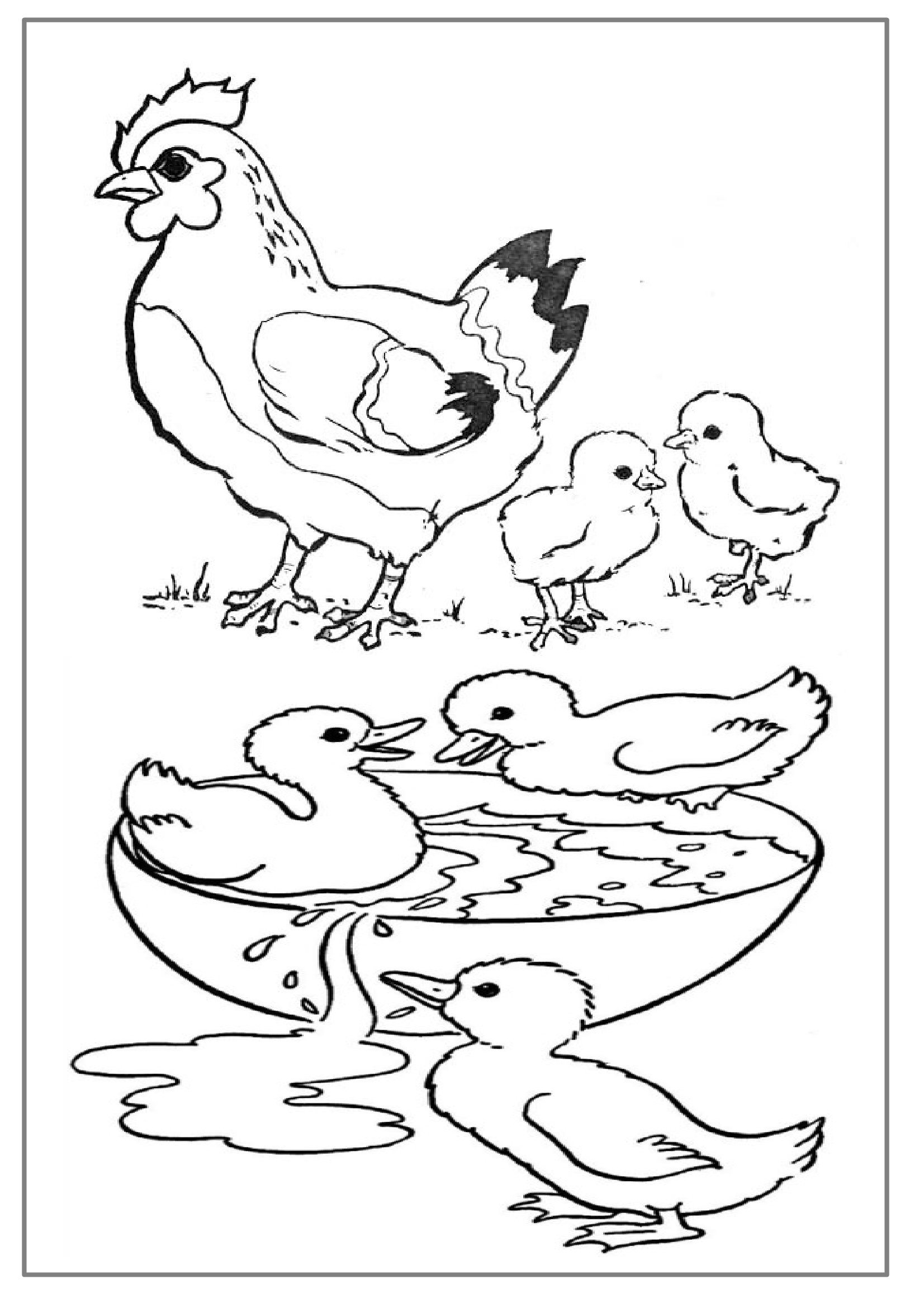 Раскраска: Сельскохозяйственные животные (Животные) #21440 - Бесплатные раскраски для печати