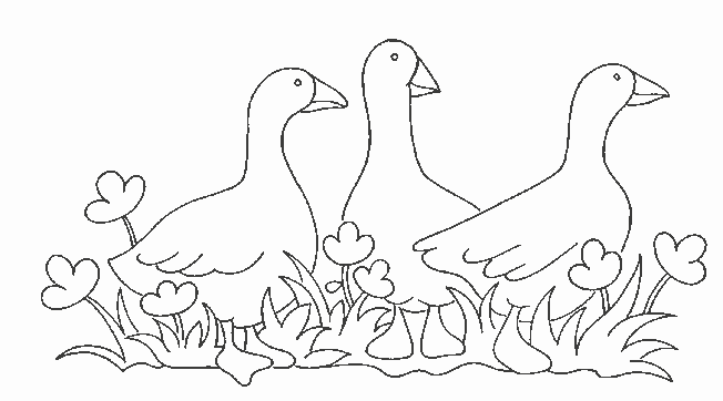 Раскраска: Сельскохозяйственные животные (Животные) #21445 - Бесплатные раскраски для печати