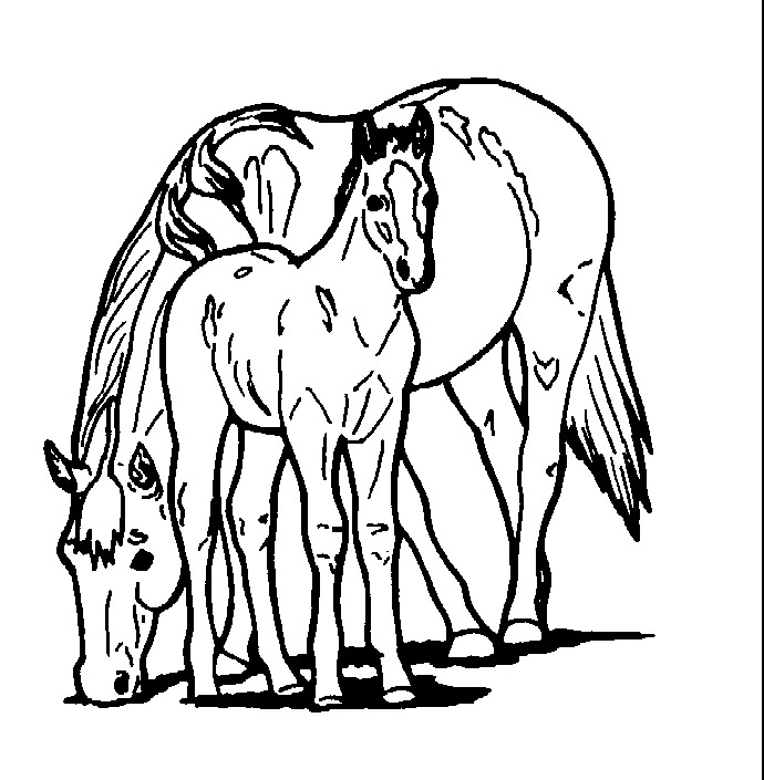 Раскраска: Сельскохозяйственные животные (Животные) #21549 - Бесплатные раскраски для печати