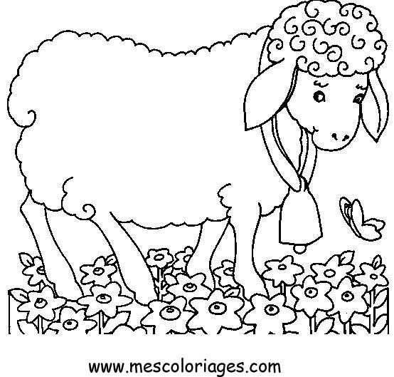 Раскраска: Сельскохозяйственные животные (Животные) #21576 - Бесплатные раскраски для печати