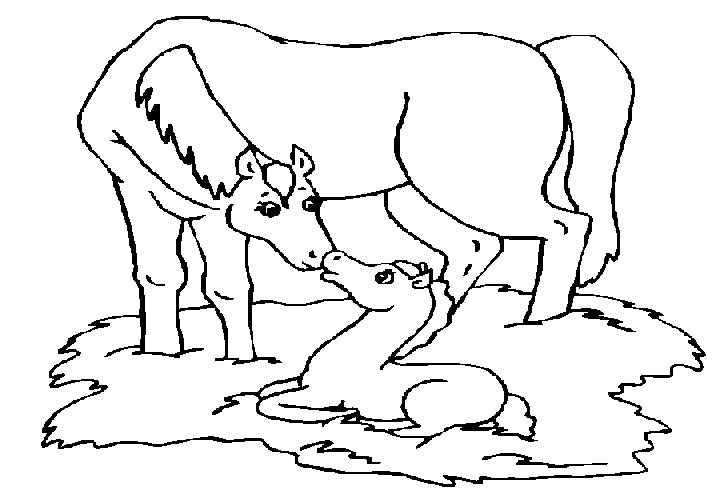 Раскраска: Сельскохозяйственные животные (Животные) #21612 - Бесплатные раскраски для печати