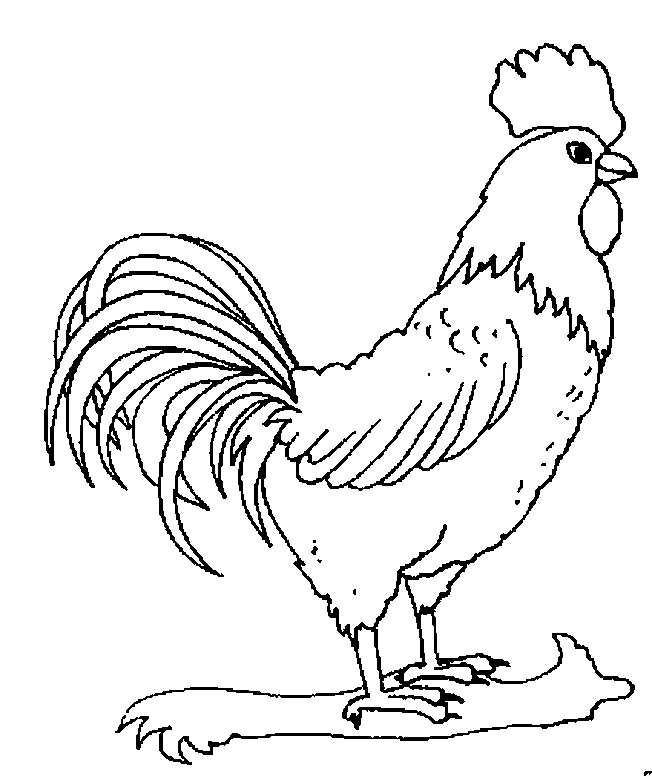Раскраска: Сельскохозяйственные животные (Животные) #21628 - Бесплатные раскраски для печати