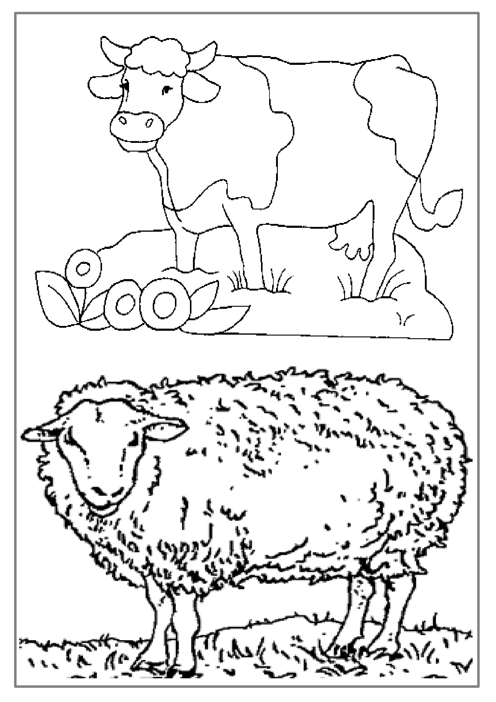 Рисунки сельскохозяйственных животных