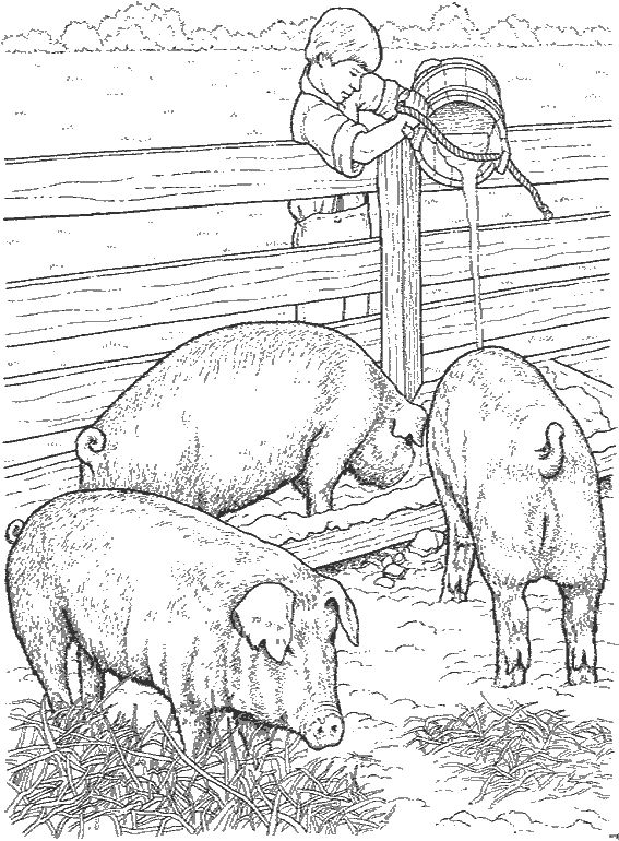 Раскраска: Сельскохозяйственные животные (Животные) #21639 - Бесплатные раскраски для печати