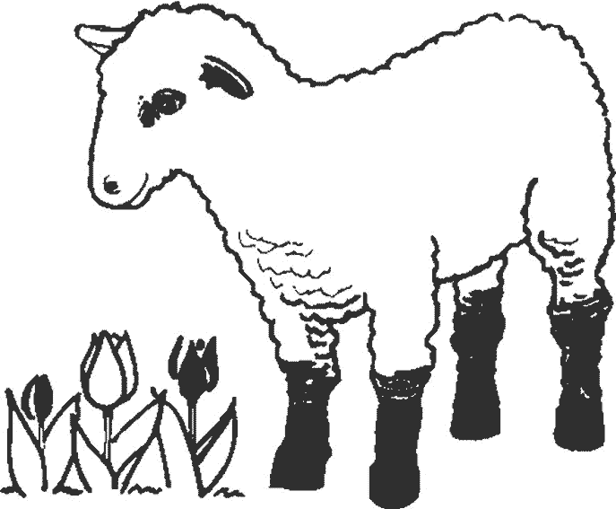 Раскраска: Сельскохозяйственные животные (Животные) #21645 - Бесплатные раскраски для печати