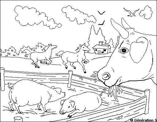 Раскраска: Сельскохозяйственные животные (Животные) #21663 - Бесплатные раскраски для печати