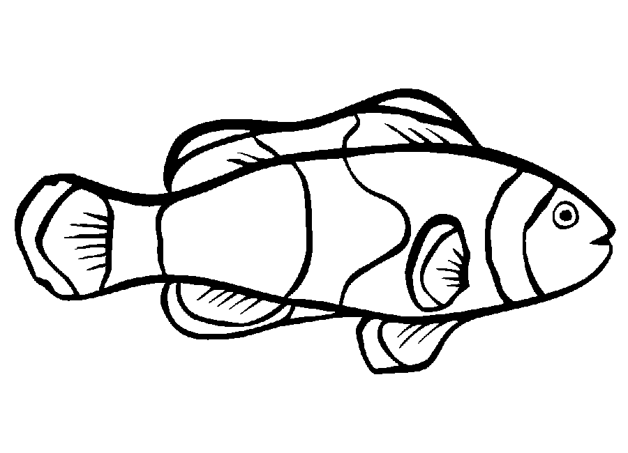 Раскраска: рыба (Животные) #17058 - Бесплатные раскраски для печати