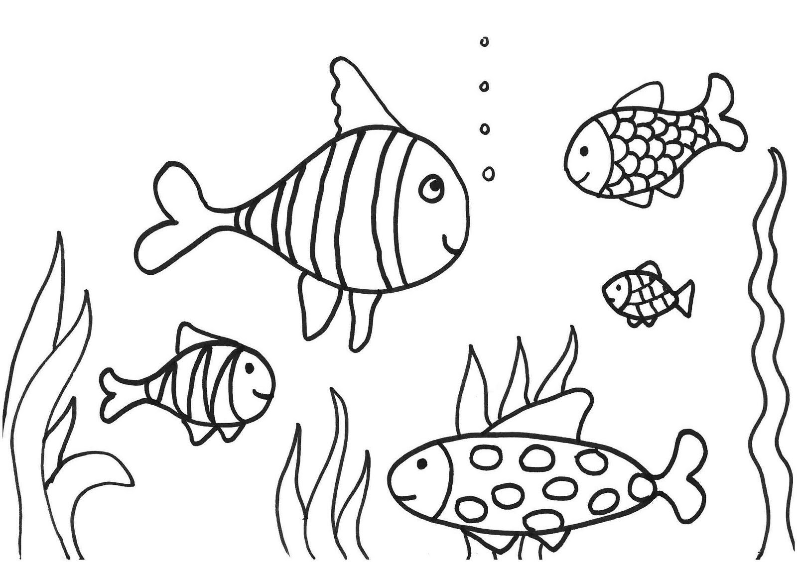 Раскраска: рыба (Животные) #17061 - Бесплатные раскраски для печати