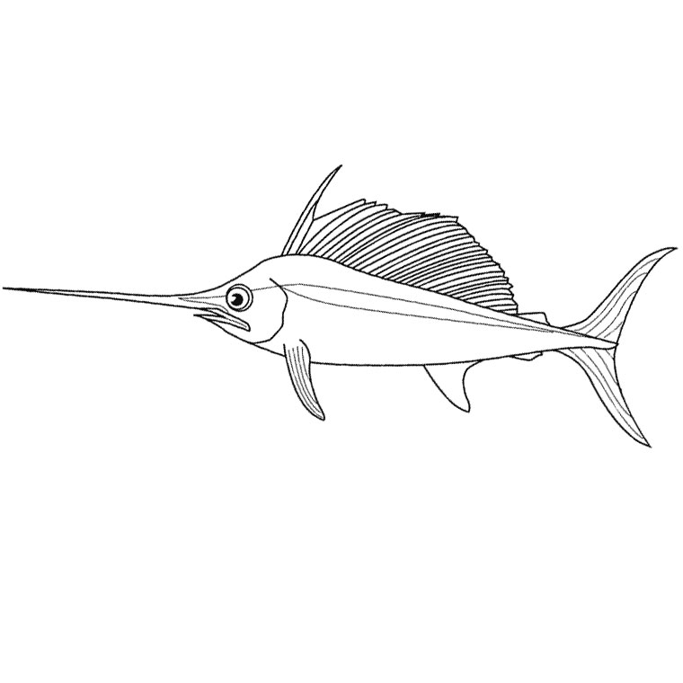 Раскраска: рыба (Животные) #17109 - Бесплатные раскраски для печати