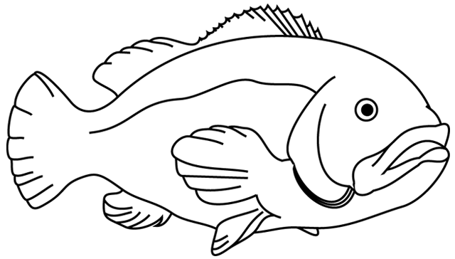 Раскраска: рыба (Животные) #17124 - Бесплатные раскраски для печати