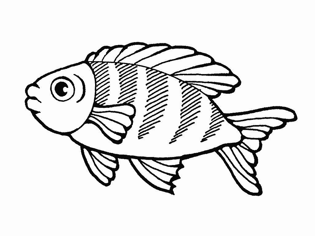 Раскраска: рыба (Животные) #17135 - Бесплатные раскраски для печати