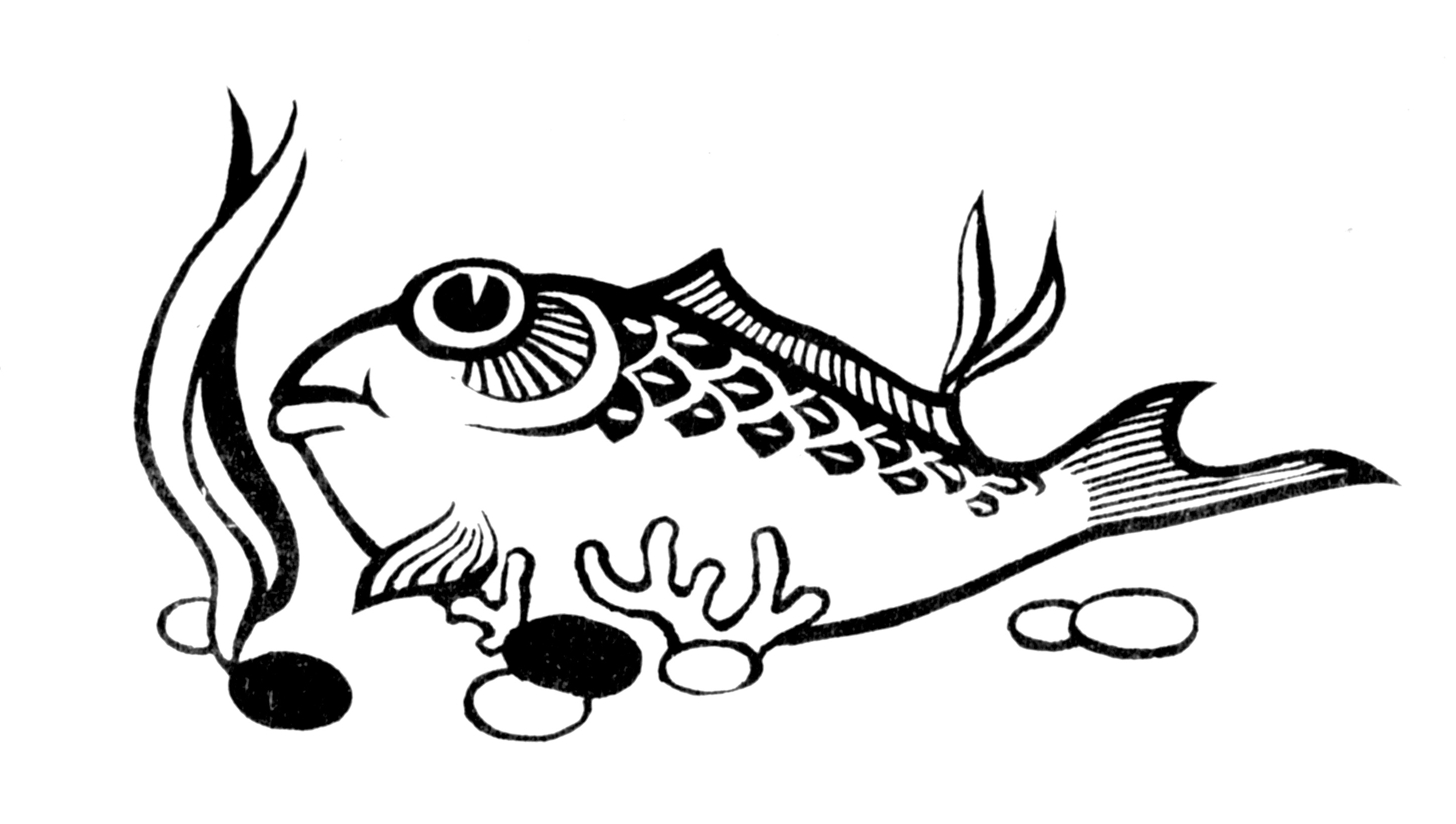 Раскраска: рыба (Животные) #17163 - Бесплатные раскраски для печати