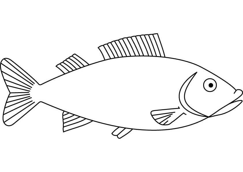 Раскраска: рыба (Животные) #17171 - Бесплатные раскраски для печати