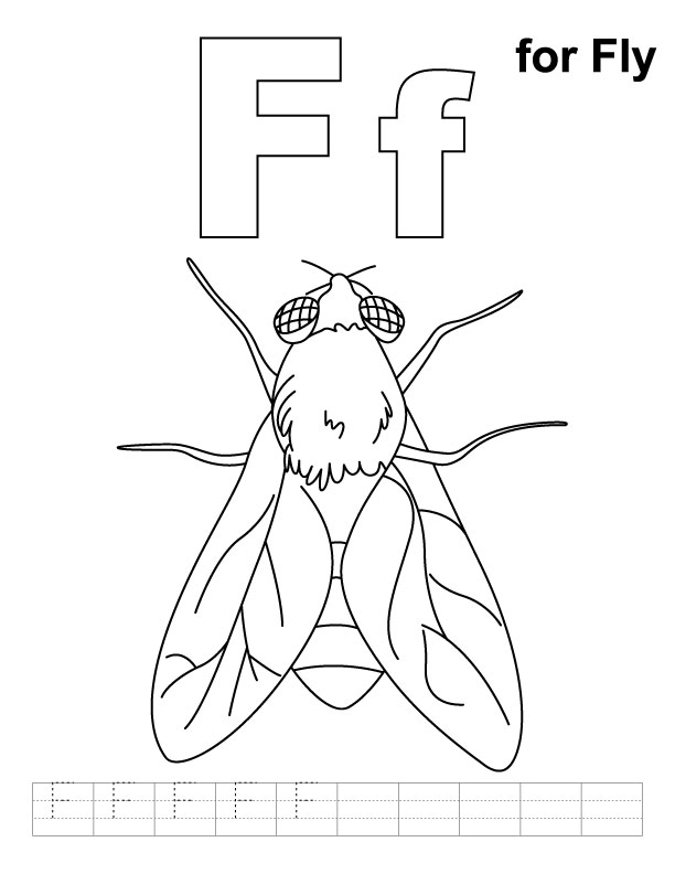 Раскраска: летать (Животные) #11129 - Бесплатные раскраски для печати