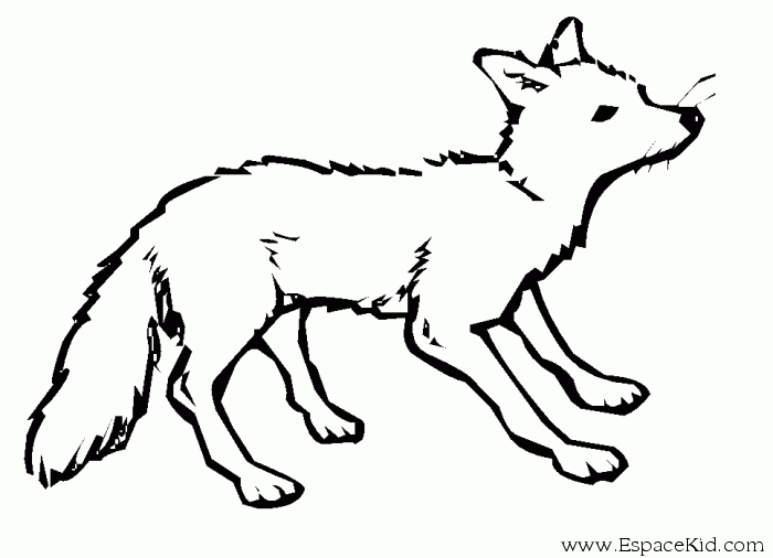Раскраска: лисица (Животные) #14963 - Бесплатные раскраски для печати