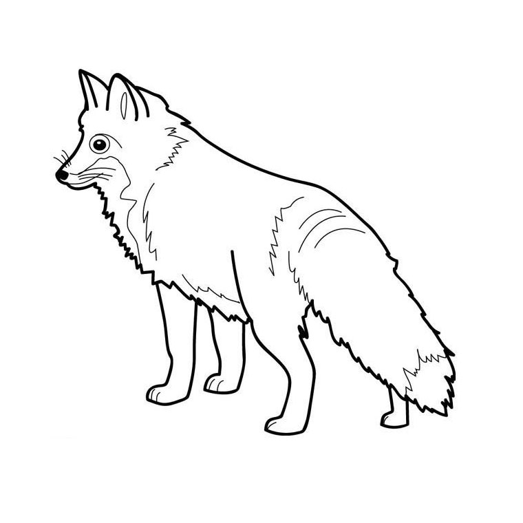 Раскраска: лисица (Животные) #14967 - Бесплатные раскраски для печати