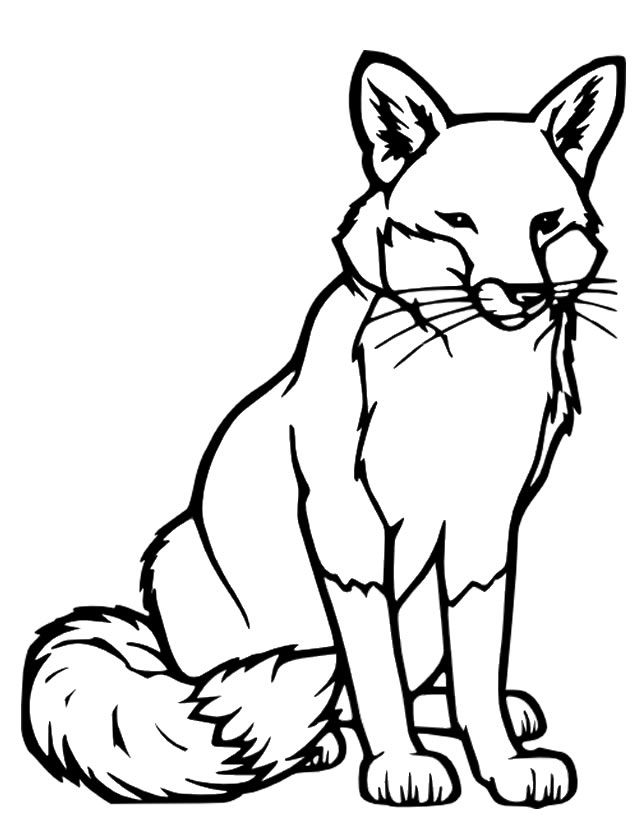 Раскраска: лисица (Животные) #14972 - Бесплатные раскраски для печати