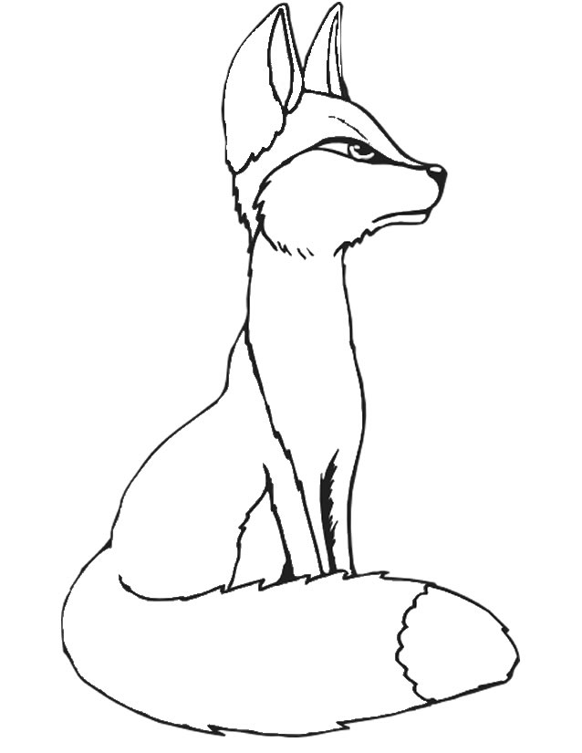 Раскраска: лисица (Животные) #14997 - Бесплатные раскраски для печати