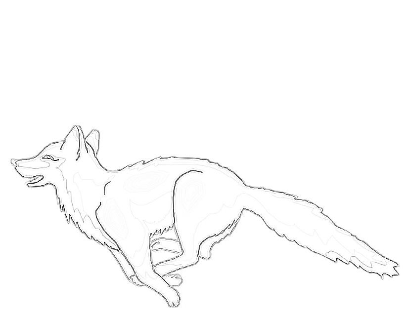 Раскраска: лисица (Животные) #15075 - Бесплатные раскраски для печати