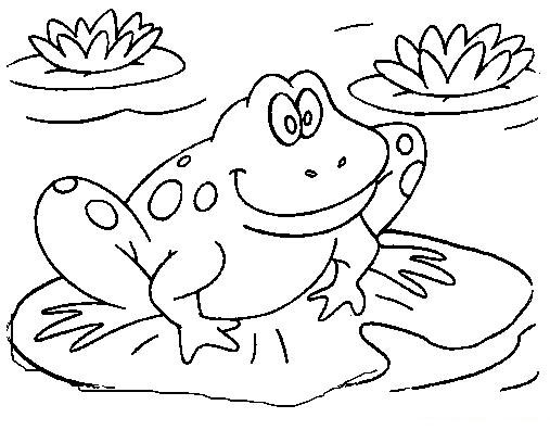 Раскраска: лягушка (Животные) #7590 - Бесплатные раскраски для печати