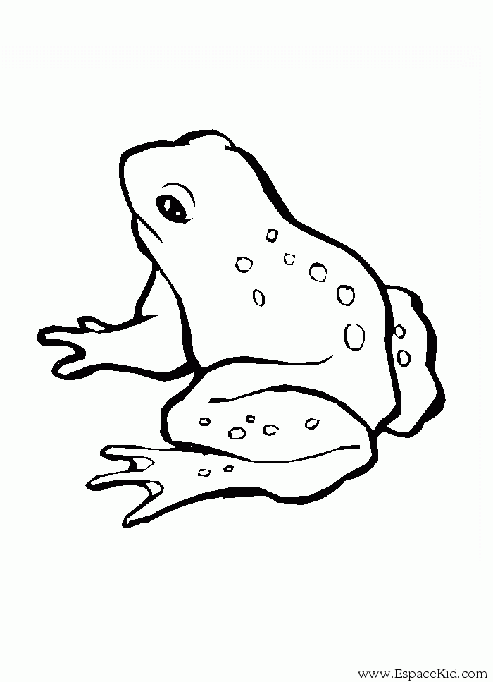 Раскраска: лягушка (Животные) #7592 - Бесплатные раскраски для печати