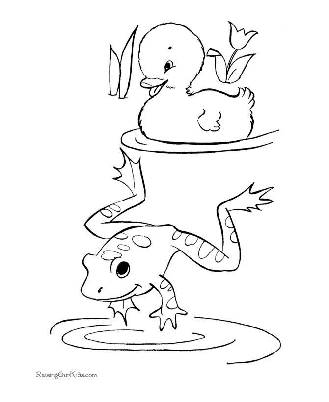 Раскраска: лягушка (Животные) #7599 - Бесплатные раскраски для печати