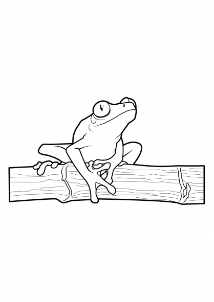 Раскраска: лягушка (Животные) #7611 - Бесплатные раскраски для печати