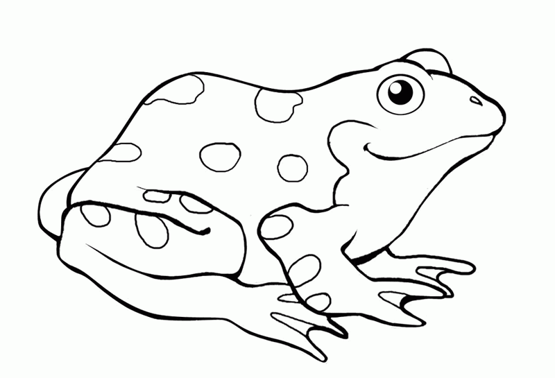 Раскраска: лягушка (Животные) #7615 - Бесплатные раскраски для печати