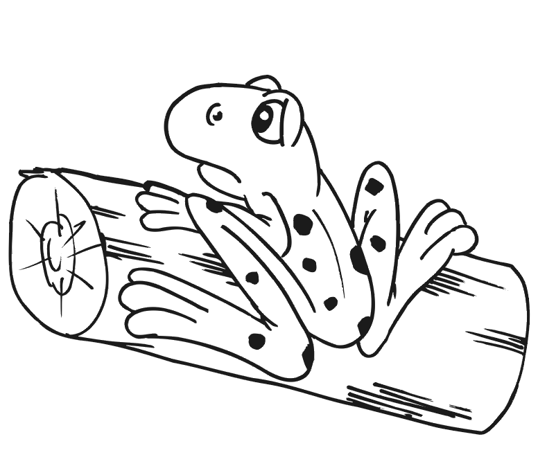 Раскраска: лягушка (Животные) #7616 - Бесплатные раскраски для печати