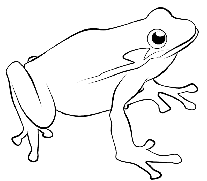 Раскраска: лягушка (Животные) #7642 - Бесплатные раскраски для печати