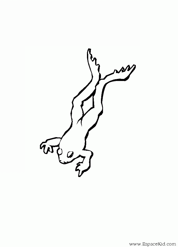 Раскраска: лягушка (Животные) #7735 - Бесплатные раскраски для печати
