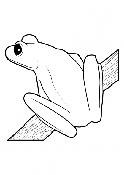 Раскраска: лягушка (Животные) #7756 - Бесплатные раскраски для печати