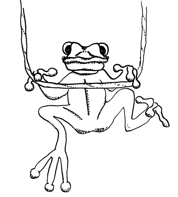 Раскраска: лягушка (Животные) #7763 - Бесплатные раскраски для печати