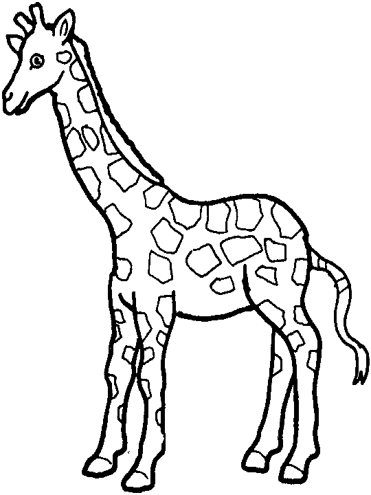 Раскраска: жираф (Животные) #7225 - Бесплатные раскраски для печати