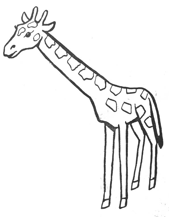Раскраска: жираф (Животные) #7230 - Бесплатные раскраски для печати