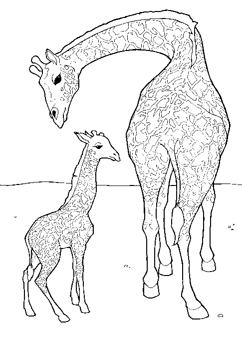 Раскраска: жираф (Животные) #7238 - Бесплатные раскраски для печати