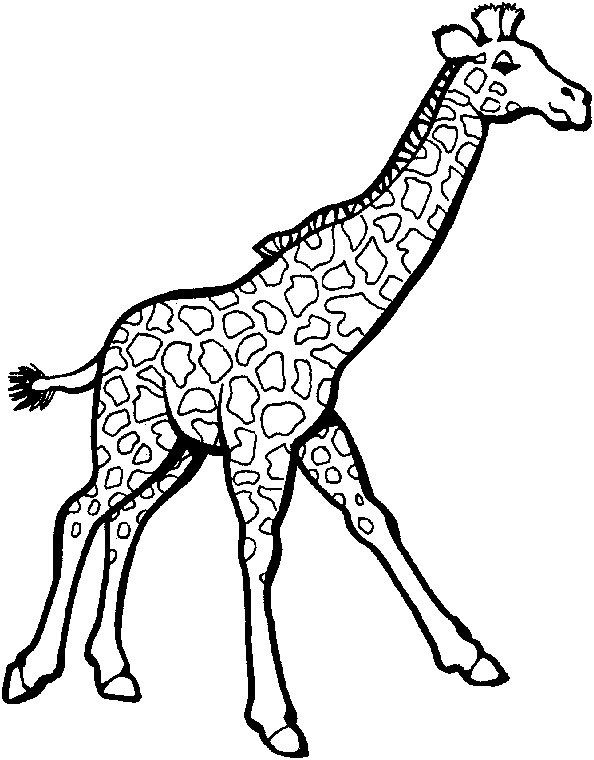 Раскраска: жираф (Животные) #7246 - Бесплатные раскраски для печати