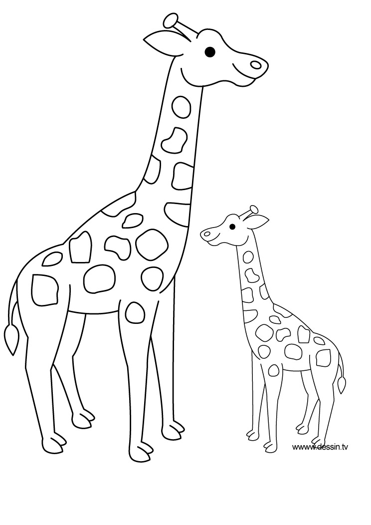 Раскраска: жираф (Животные) #7259 - Бесплатные раскраски для печати