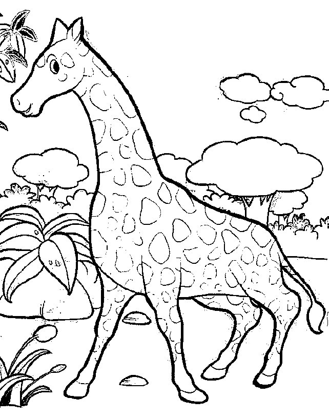 Раскраска: жираф (Животные) #7262 - Бесплатные раскраски для печати