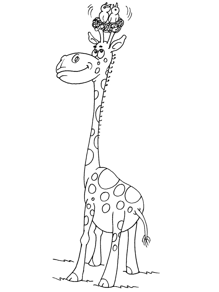 Раскраска: жираф (Животные) #7284 - Бесплатные раскраски для печати