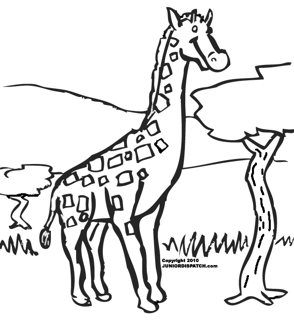 Раскраска: жираф (Животные) #7287 - Бесплатные раскраски для печати