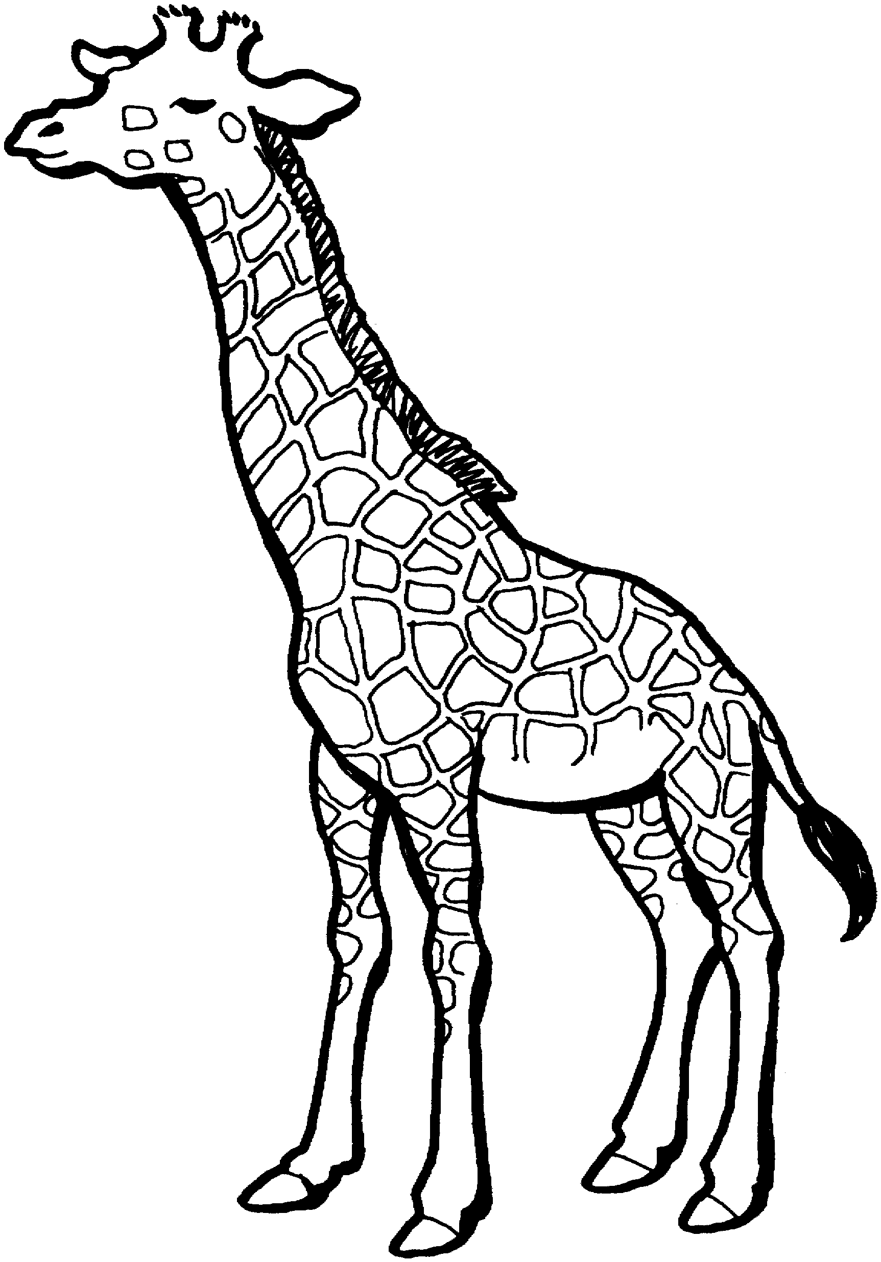 Раскраска: жираф (Животные) #7291 - Бесплатные раскраски для печати
