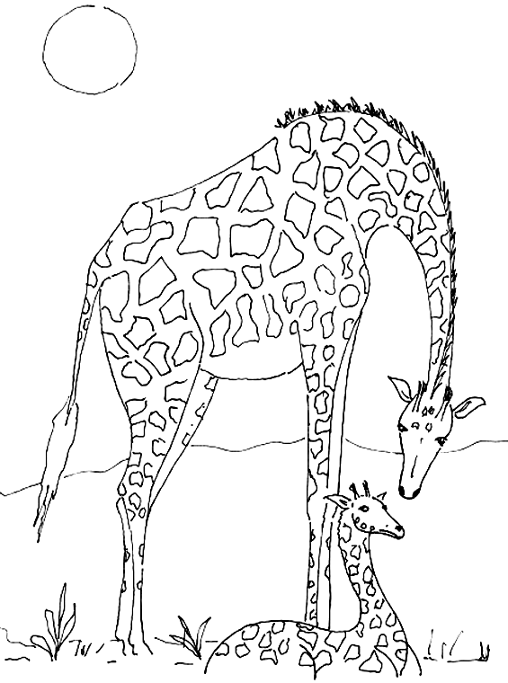 Раскраска: жираф (Животные) #7302 - Бесплатные раскраски для печати