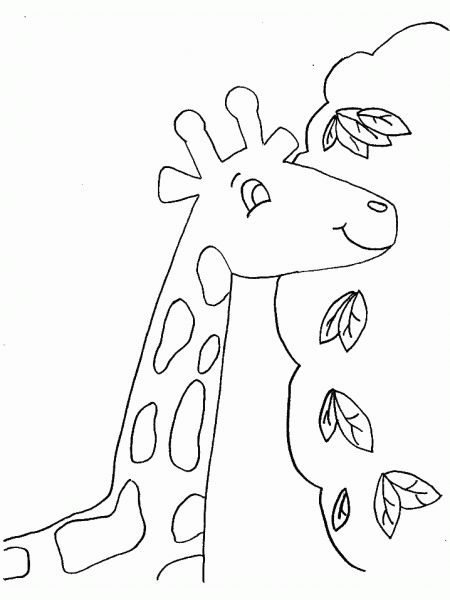 Раскраска: жираф (Животные) #7321 - Бесплатные раскраски для печати