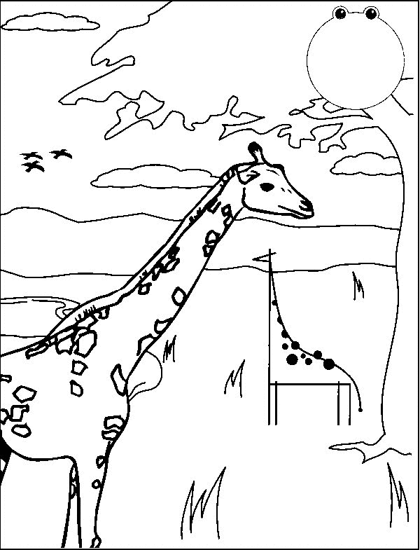 Раскраска: жираф (Животные) #7322 - Бесплатные раскраски для печати