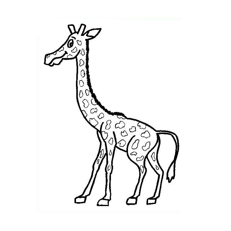Раскраска: жираф (Животные) #7324 - Бесплатные раскраски для печати